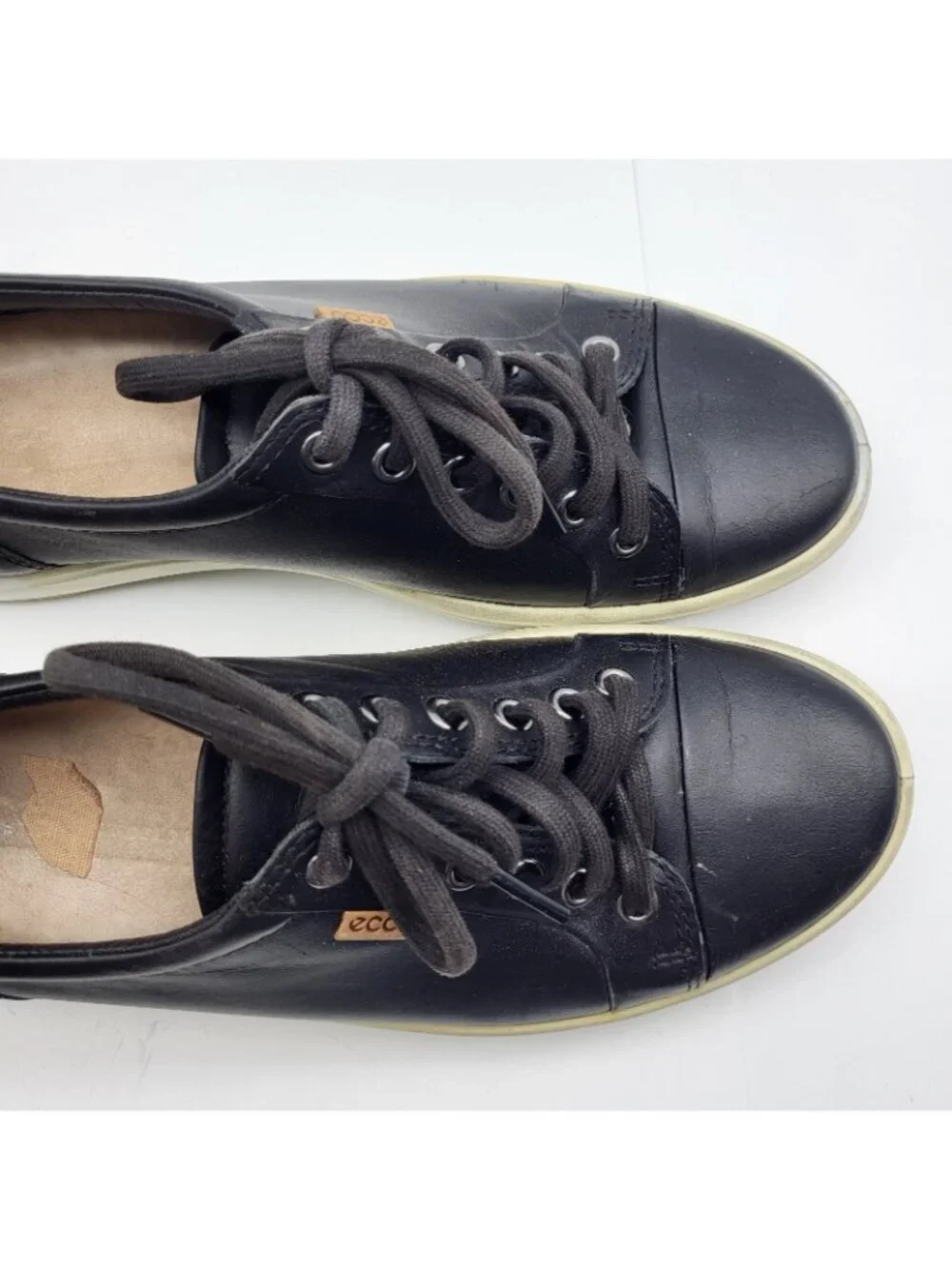 Ecco thanks looking